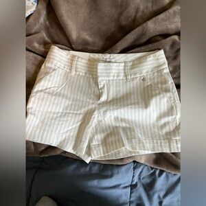 NWT Calvin Klein dress shorts